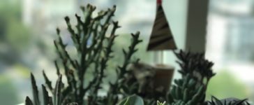 potten bloemen