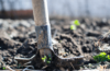 besparen op boodschappen met een moestuin