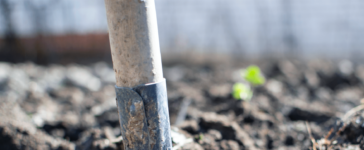 besparen op boodschappen met een moestuin
