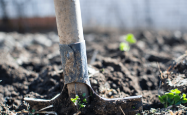 besparen op boodschappen met een moestuin