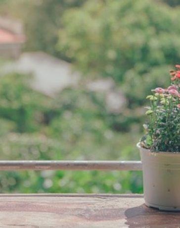 3 tips voor opbergruimte in je tuin