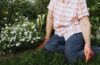 Tips voor het inrichten van je nieuwe tuin