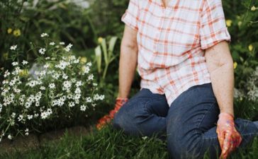 Tips voor het inrichten van je nieuwe tuin