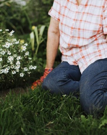 Tips voor het inrichten van je nieuwe tuin