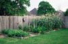 schutting kopen privacy tuin