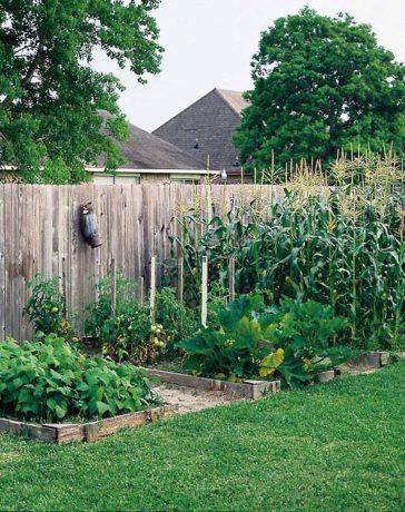 schutting kopen privacy tuin