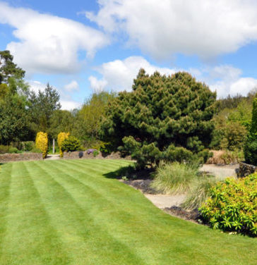 Verschillende mogelijkheden van kunstgras