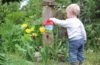 Tips voor een kindvriendelijke tuin