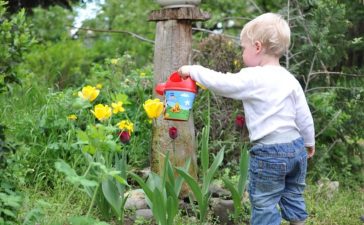Tips voor een kindvriendelijke tuin