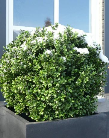 Werken met kunstplanten in de tuin