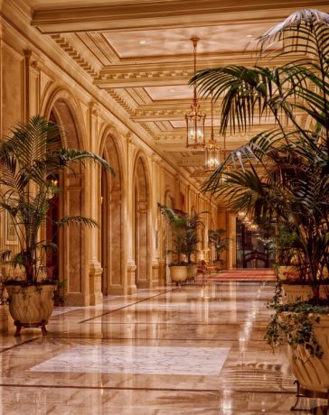 Style je interieur met een urban jungle twist