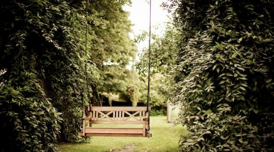5 Dingen die je niet wist over een schaduwrijke tuin