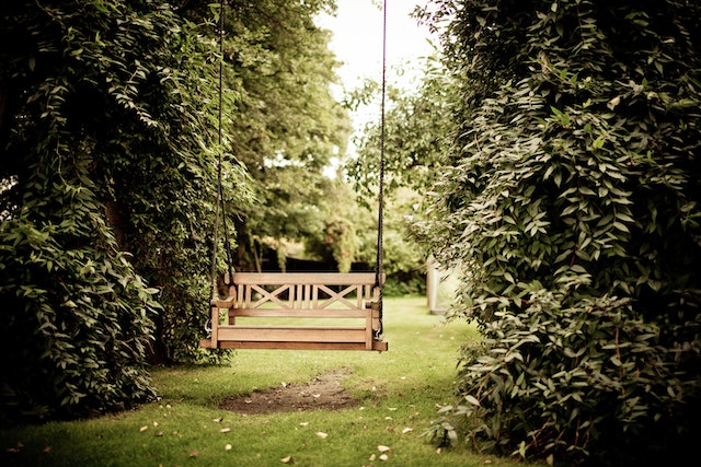 5 Dingen die je niet wist over een schaduwrijke tuin