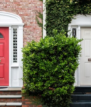 Je gevel goed onderhouden? Zo pak je dat aan